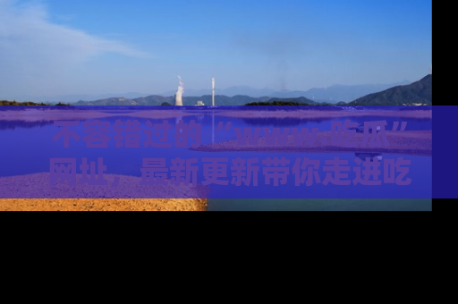 不容错过的“www.吃瓜”网址，最新更新带你走进吃瓜新时尚