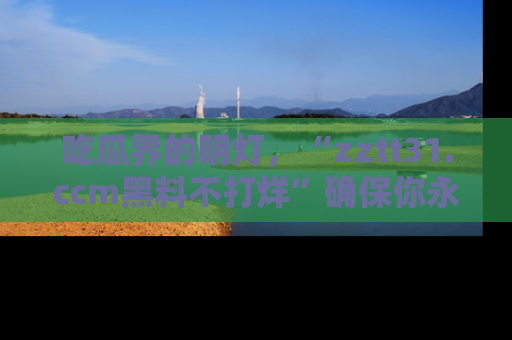吃瓜界的明灯，“zztt31.ccm黑料不打烊”确保你永不迷路！