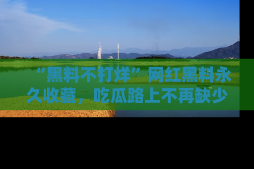 “黑料不打烊”网红黑料永久收藏,吃瓜路上不再缺少惊喜与乐趣