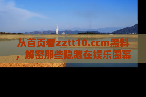 从首页看zztt10.ccm黑料，解密那些隐藏在娱乐圈幕后的丑闻故事！