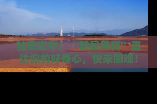 独家发布！“明星黑料”直达你的好奇心，快来围观！
