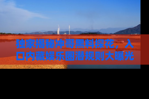 独家揭秘冲哥黑料探花，入口内藏娱乐圈潜规则大曝光