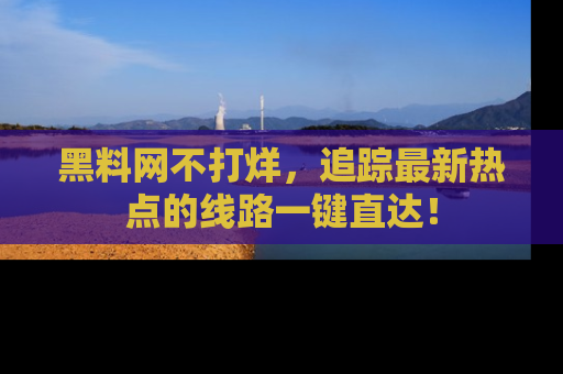 黑料网不打烊,追踪最新热点的线路一键直达!