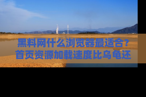 黑料网什么浏览器最适合？首页资源加载速度比乌龟还慢的体验真心吐槽！