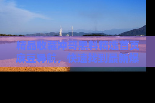 精品收藏冲哥黑料精选首页麻豆导航，快速找到最新爆料