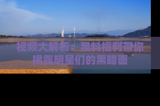 视频大解析:黑料福利带你揭露明星们的黑暗面