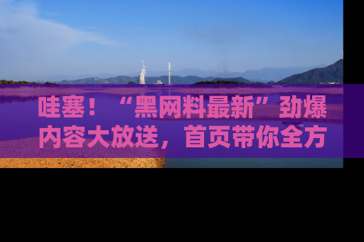 哇塞！“黑网料最新”劲爆内容大放送，首页带你全方位了解哦，小可爱们