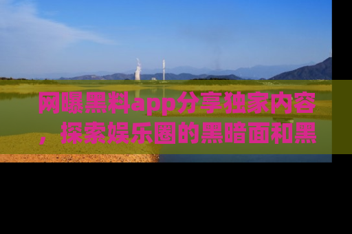 网曝黑料app分享独家内容,探索娱乐圈的黑暗面和黑料