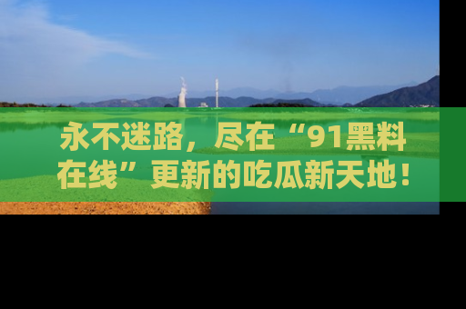 永不迷路,尽在“91黑料在线”更新的吃瓜新天地!