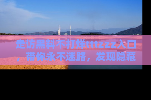 走访黑料不打烊tttzzz入口,带你永不迷路,发现隐藏的黑幕
