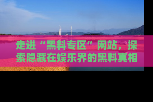 走进“黑料专区”网站,探索隐藏在娱乐界的黑料真相