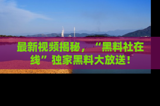 最新视频揭秘,“黑料社在线”独家黑料大放送!